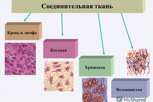 Официальный сайт kraken ссылки зеркала