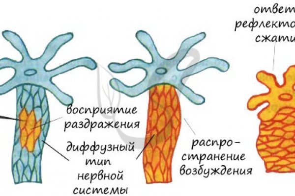 Войти в кракен